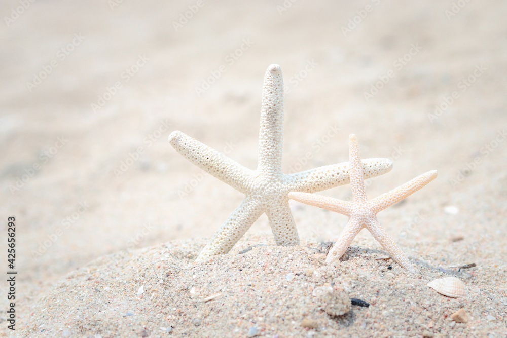 Starfish on sand beach, tropical summer beach background for relaxing vacation Starfish on sand beach, tropical summer beach background for relaxing vacation