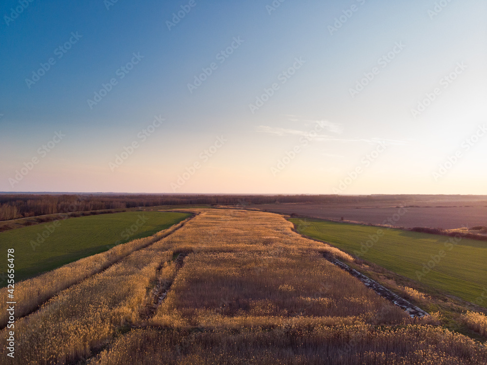 Beautiful wide open aerial drone shot view at the sunset of a yellow-green field