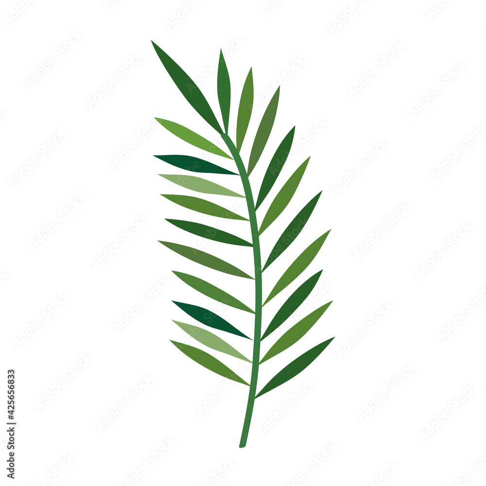 green palm leave green palm leave