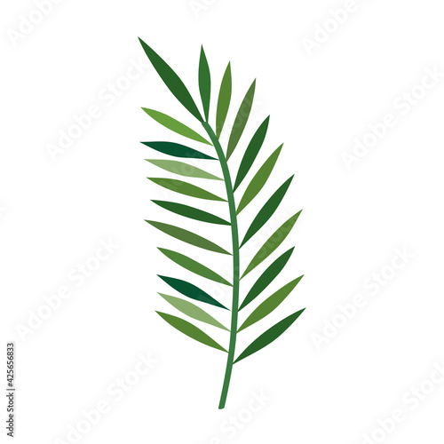 green palm leave