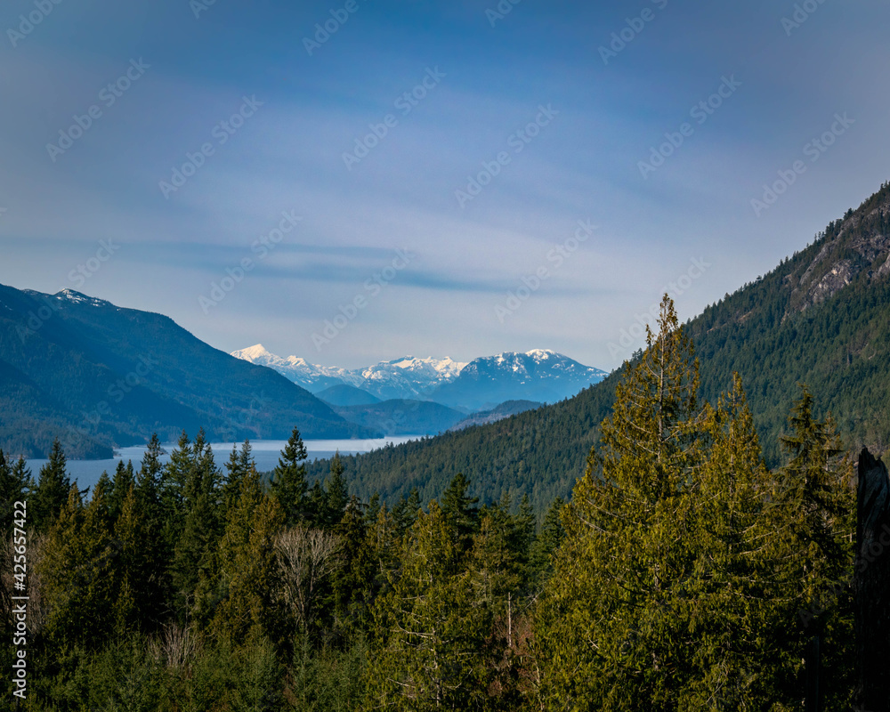 Mountains and lake with trees background