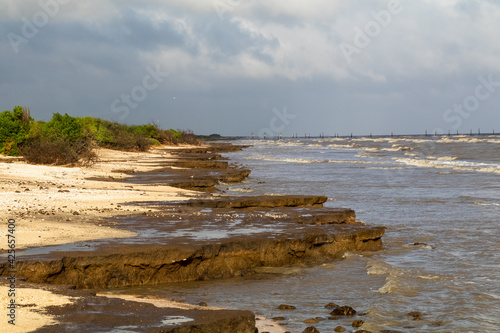 Cacti On The beach In Louisiana