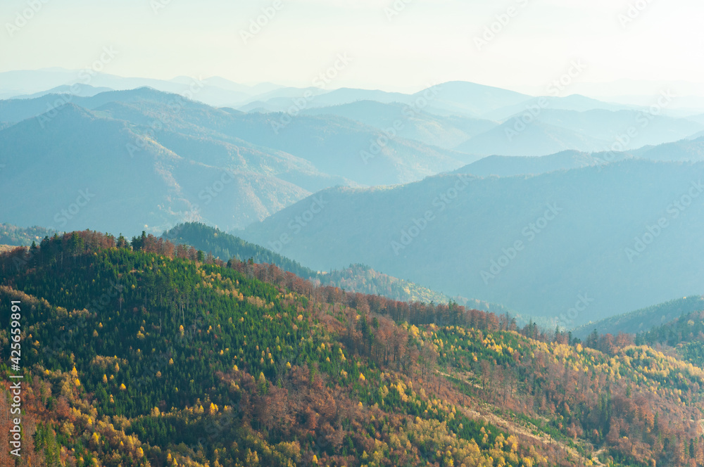 Nature Carpathians, Ukraine mountain wilderness landscape, panorama hills mountain range covered with forest, warm autumn day.