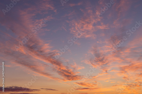 Dramatic sunrise, sunset pink orange violet blue sky with cirrus clouds in sunlight abstract background texture 
