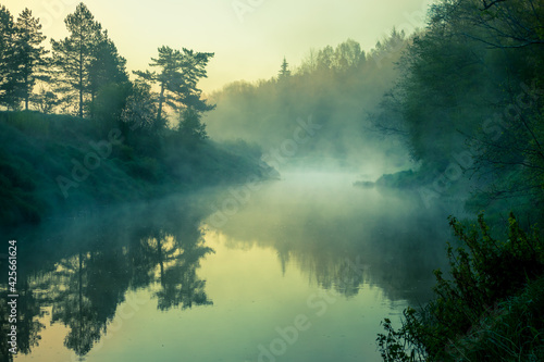A beautiful spring landscape of a river valley with morning mist. Springtime scenery of a river flowing through the forest. Water evaporating in sun rays. Springtime scenery of Northern Europe.