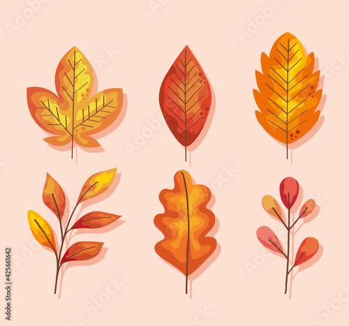 six autumn leafs