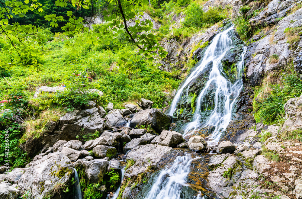 Todtnau Waterfall in the Black Forest Mountains, Germany Todtnau Waterfall in the Black Forest Mountains, Germany