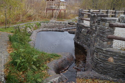 wooden bridge in the forest