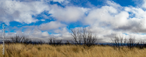 blue sky and clouds in Patagonia Arizona
