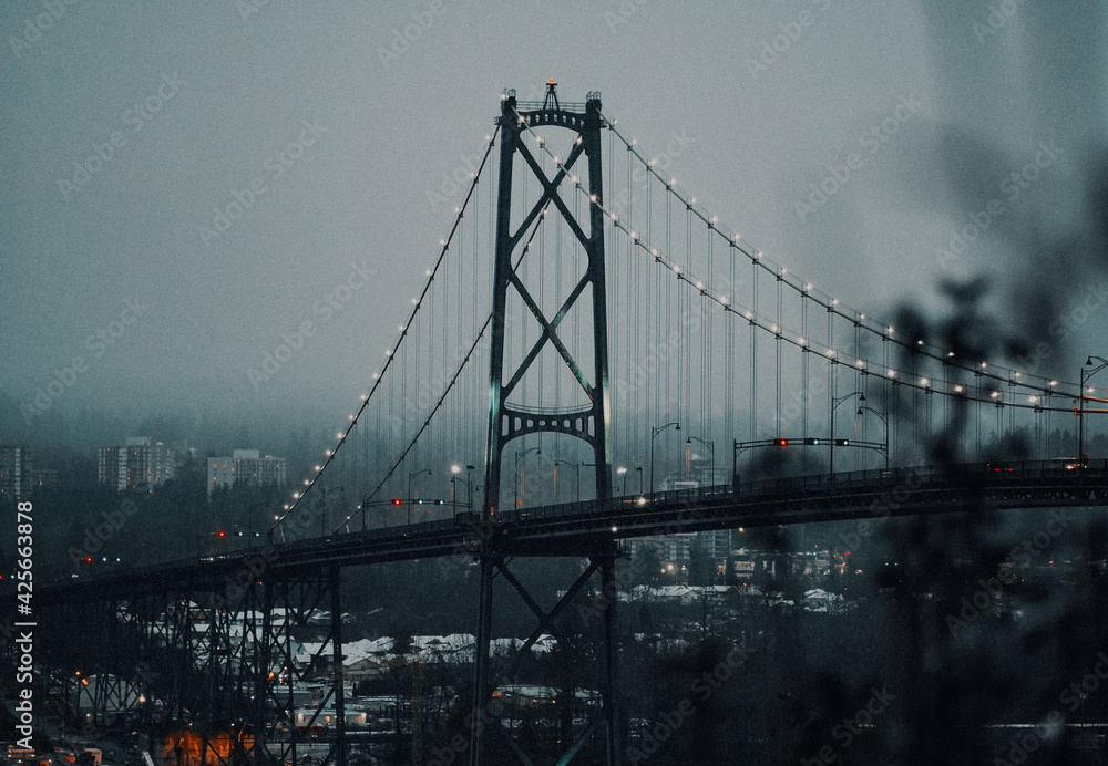Fototapeta premium Lions Gate Vancouver
