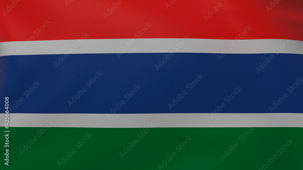 Gambia flag texture