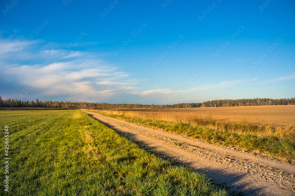 A beautiful spring landscape with a gravel road. Springtime scenery of an old road in Northern Europe.