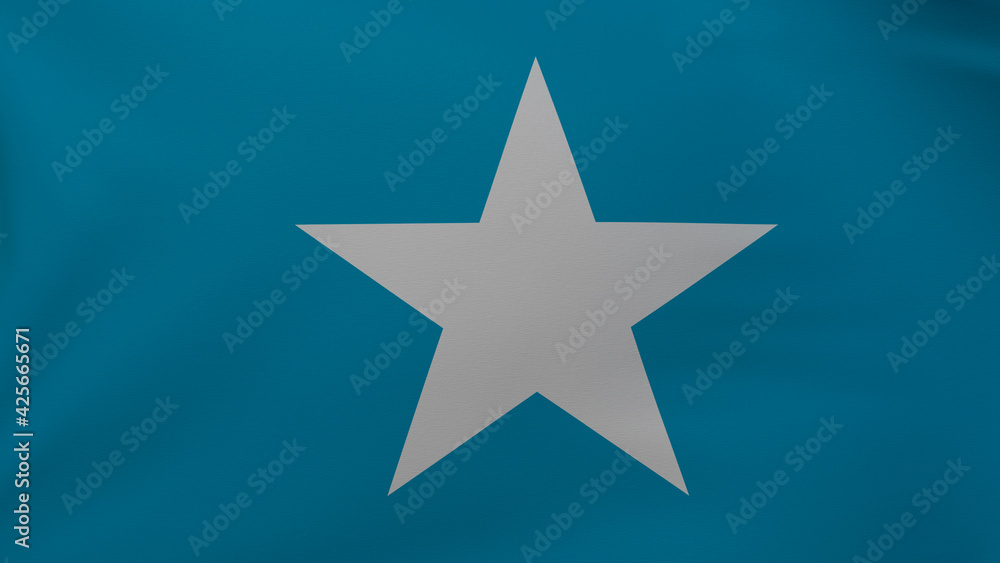 Obraz premium Somalia flag texture