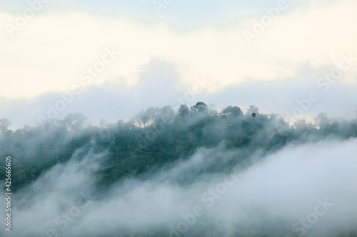 The mist on the mountain top after the rain