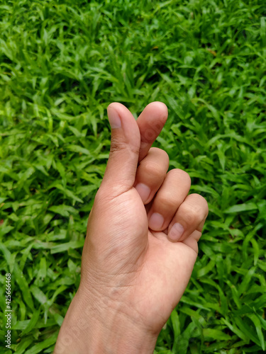 hand gesturing - symbol of mini heart on green grass background. © pas_td 4425