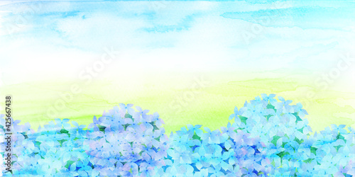 あじさい　梅雨　花　背景