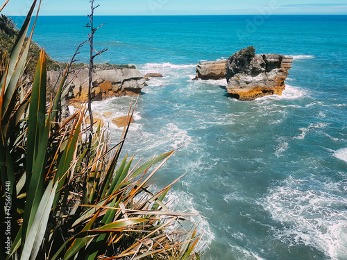 tasmanian ocean as seen from a cliff on an Edmund Hillary trekking trail in new zealand.