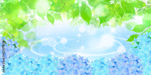 あじさい　梅雨　花　背景