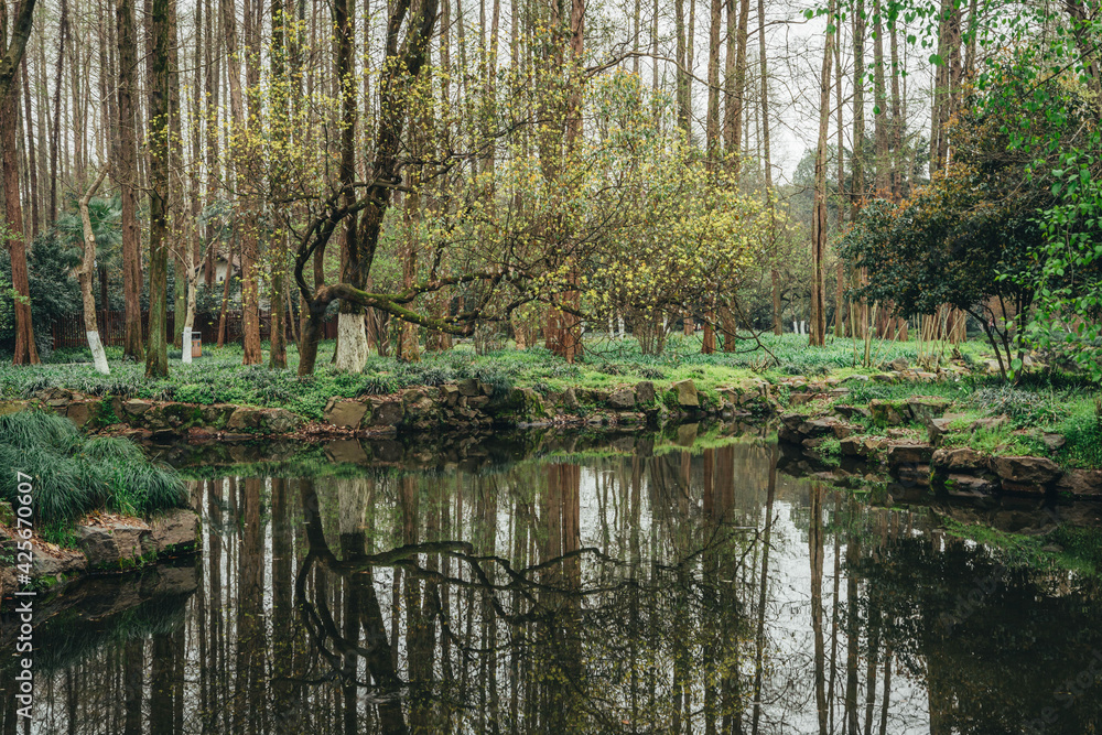 Natural landscape with trees, willows and lake in Quyuan Garden of Hangzhou West Lake, Hangzhou
