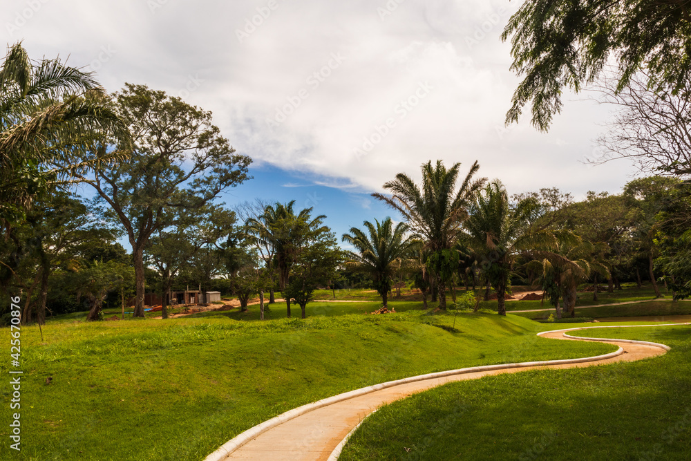 Fototapeta premium Palmeras y colinas