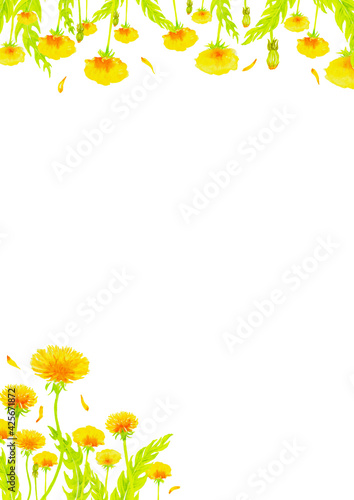 たんぽぽの水彩画アナログイラスト