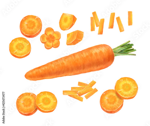 野菜　にんじん  カットしたニンジンの手描きイラスト
