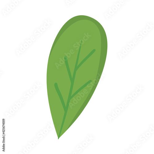 basil leaf design
