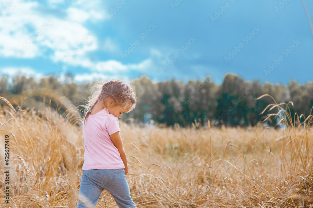Harvest: ripe wheat grows in the field. The golden grain and the children are walking. girls in the grass Harvest: ripe wheat grows in the field. The golden grain and the children are walking. girls in the grass