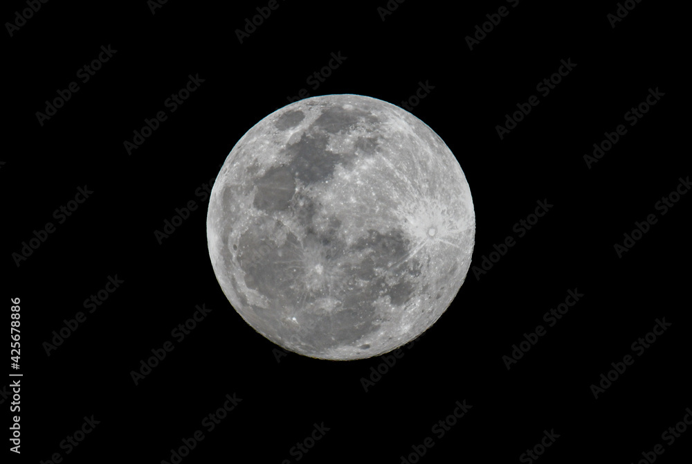 Moon Moon