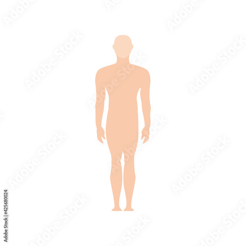 male human body