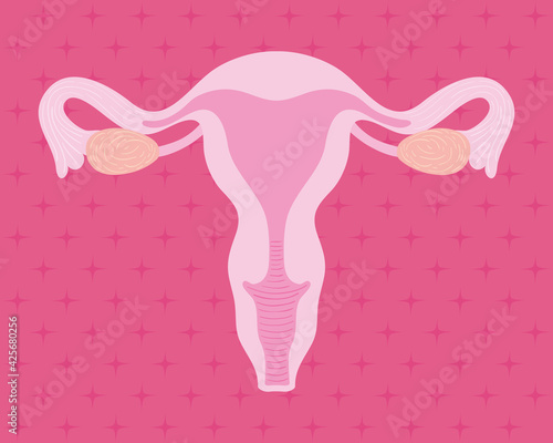 female uterus design