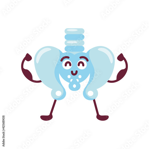 cute human pelvis