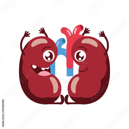 cute kidneys organ