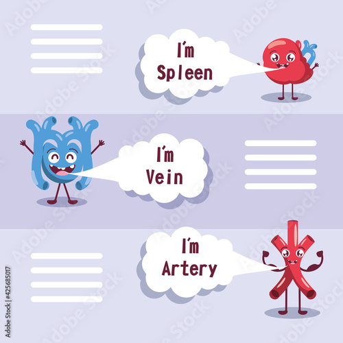 cartoon cute organs
