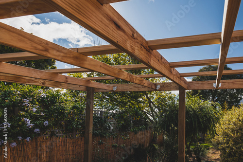 Foto under construction garden pergola with wooden structure in sunny backyard surrou