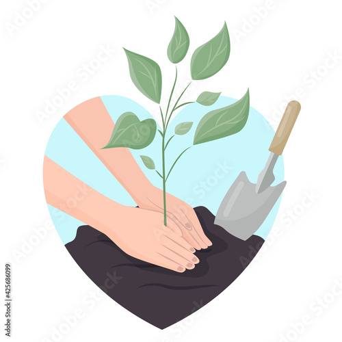 Human palms cover the ground with a young plant shoot. Concepts: concern for the environment, opposition to deforestation, planting plants. Vector illustration in a flat style.