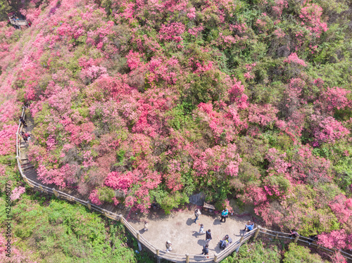 Spring aerial scenery of Huangpi Mulan Yunwu Mountain in Wuhan, Hubei photo