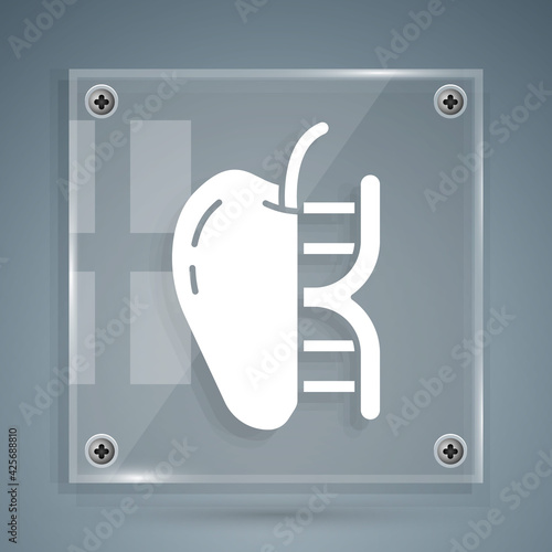 White Genetically modified apple icon isolated on grey background. GMO fruit. Square glass panels. Vector