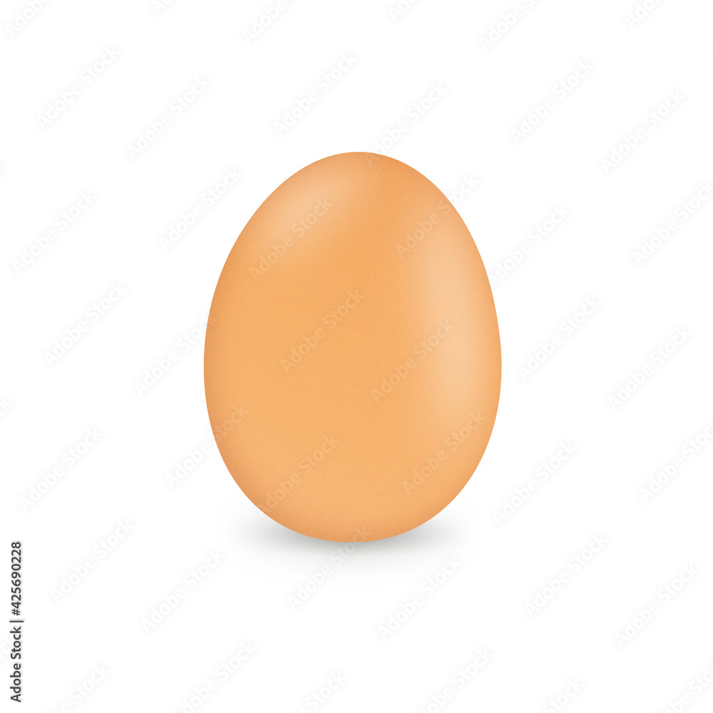 Egg close up isolated on white background.Copy space for text Egg close up isolated on white background.Copy space for text