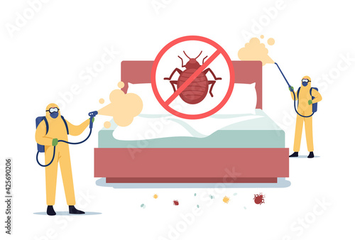 Bedbugs Extermination Professional Service. Pest Control Exterminators Doing Room Disinsection against Bed Bugs