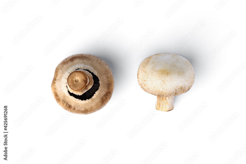 Champignon mushrooms isolated on white background. Champignon mushrooms isolated on white background.