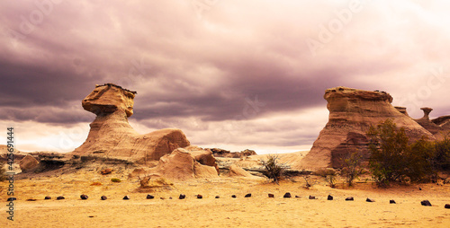 Ischigualasto Provincial Park, Argentina