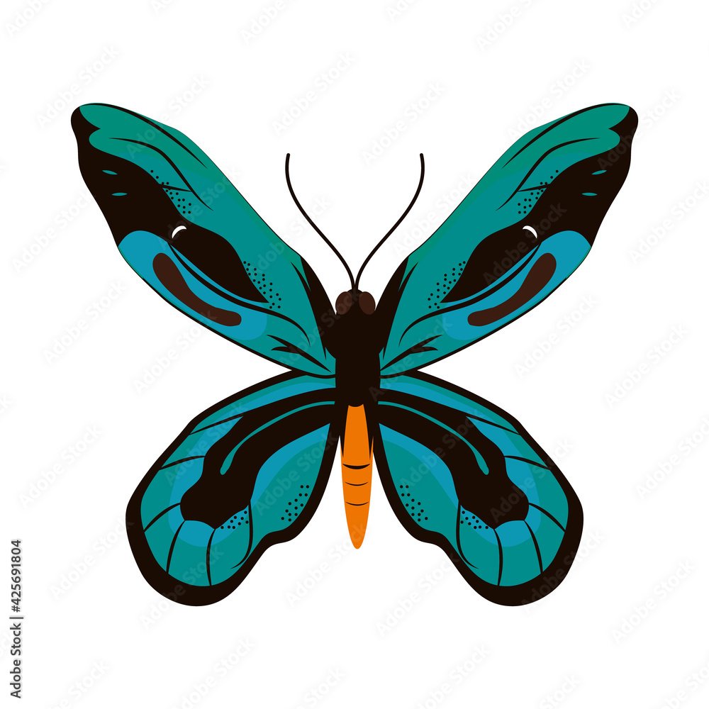 Fototapeta premium beautiful butterfly illustration