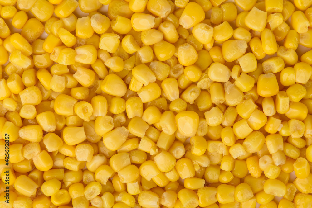 Sweet canned corn texture or background. Sweet canned corn texture or background.