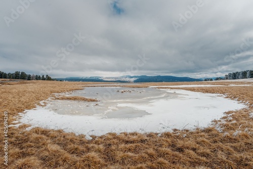 Fototapeta Naklejka Na Ścianę i Meble -  Frozen lake among yellow withered grass in a clearing among the forest and against the background of the Altai Mountains