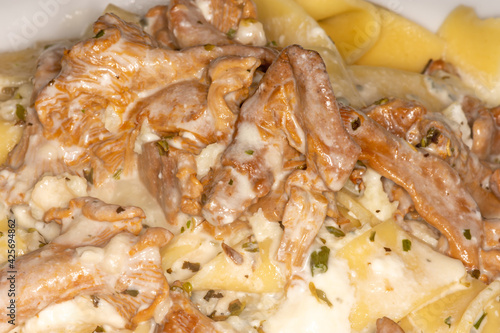 Pfifferlinge in Gorgonzola-Sahne-Soße auf breiten Nudeln