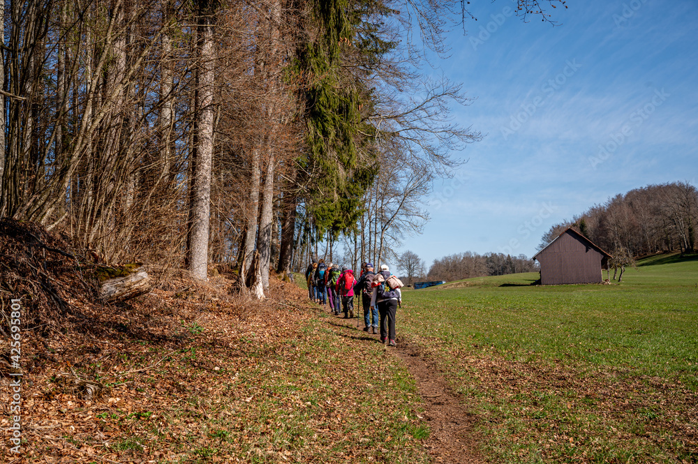 Fototapeta premium Vaud Canton, Switzerland : Group of hiking people walking by a barn in a green field next to a forest and hill.