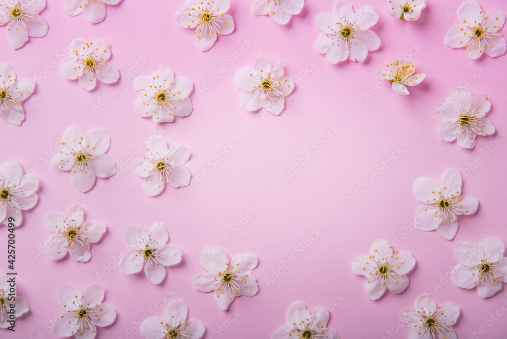 Spring white flowers of cherry plum on a pink background. Spring white flowers of cherry plum on a pink background.