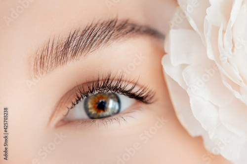 Eyelash extension procedure microblading for green eyes woman in salon. Concept beauty care skin face photo