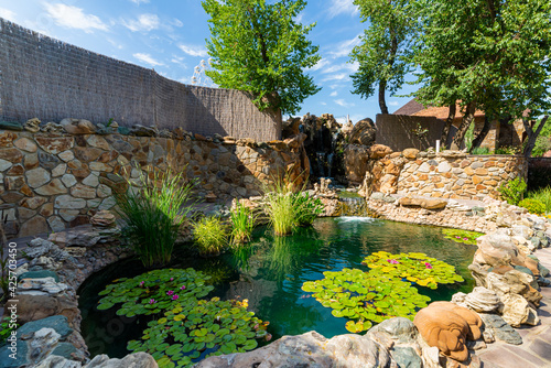 Pond landscaping with aquatic plants and water lilies